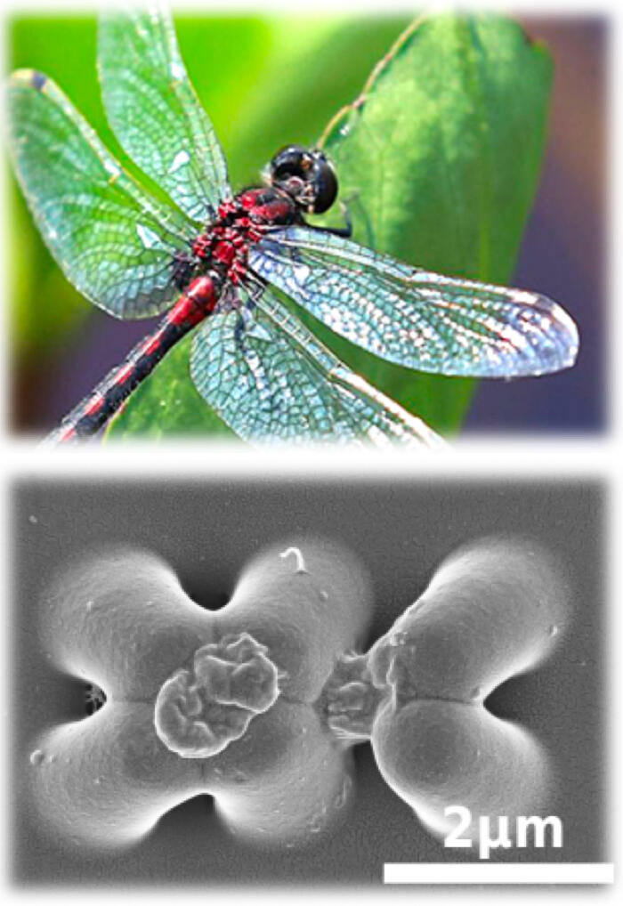 Antimicrobial surfaces